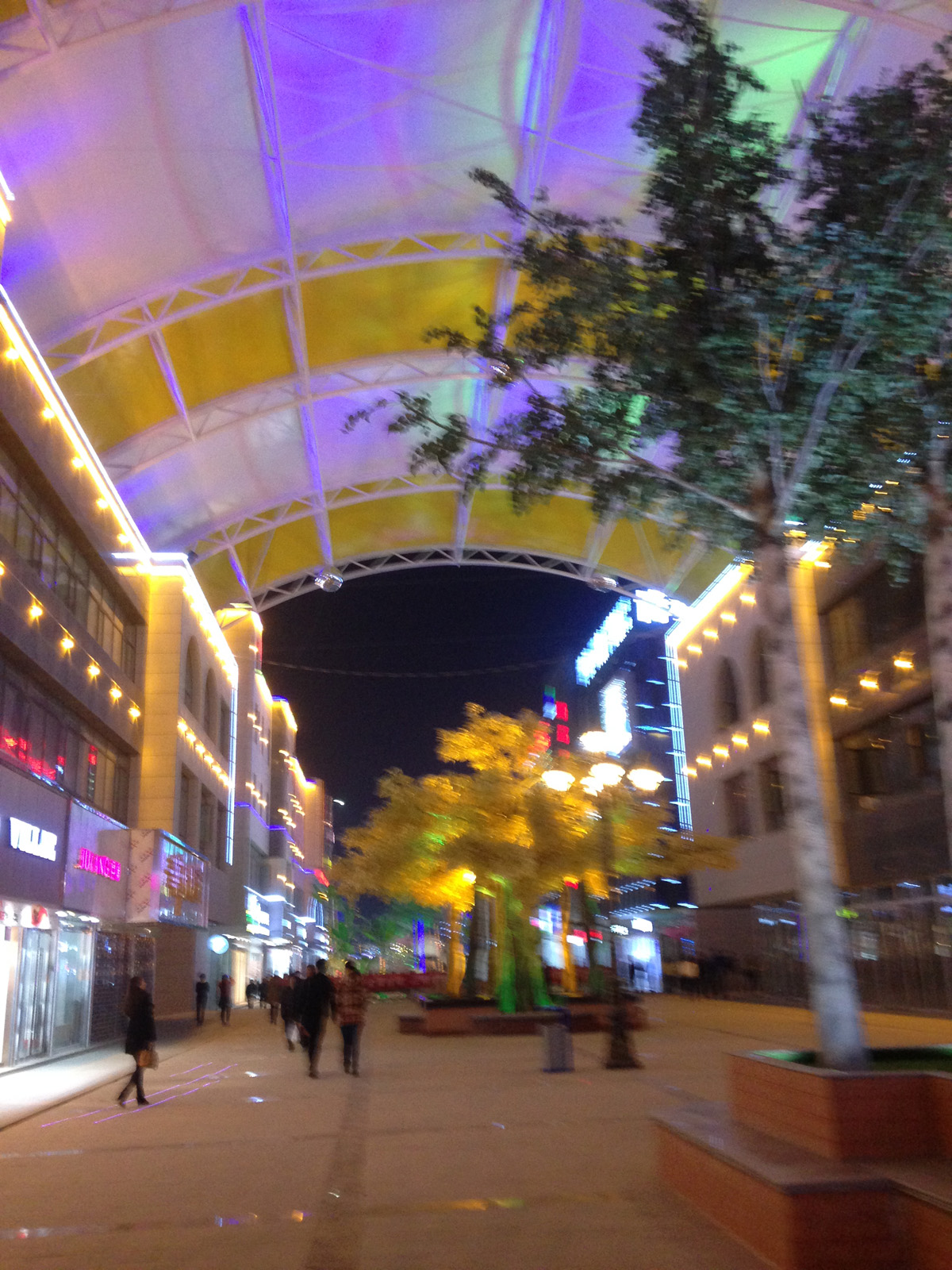 膜結(jié)構(gòu)夜景 膜結(jié)構(gòu)夜景